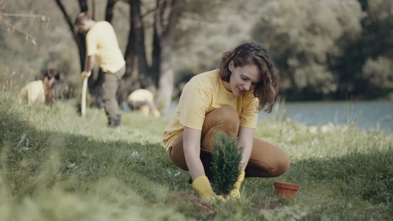 Best Lawn Maintenance Plans  in Mather, CA